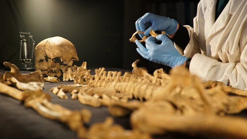 Dr. Charlotte Roberts untersucht ein Skelett. – Bild: ZDF und Blink Films/​Blink Films