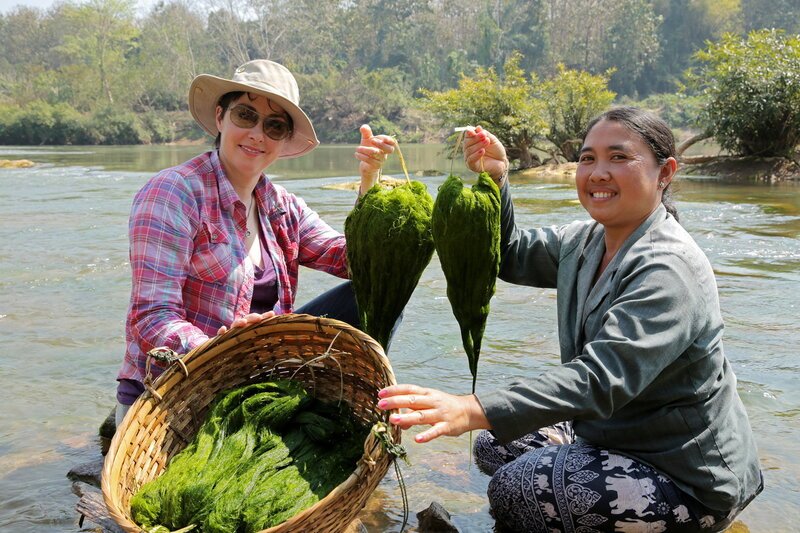 Willkommen am Mekong Laos Sue Perkins und Butang zeigen etwas Flussgras, das für die Herstellung einer lokalen Delikatesse, Laos, geerntet wurde. SRF/​BBC Studios/​Indus Films 2014 – Bild: SF2