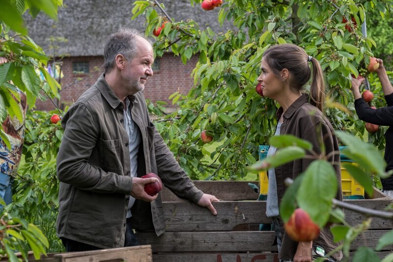 Oskar Schütz (Marek Erhardt, l.) unterstützt seine Freundin Bente Jansen (Judith Döker, r.) selbstverständlich bei der Apfelernte. – Bild: ZDF und Manju Sawhney.