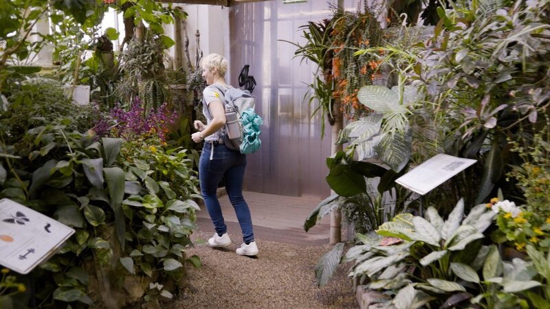 Susi Preissl testet Rucksäcke im Palmenhaus Schönbrunn. – Bild: ORF/​Philip Aschauer