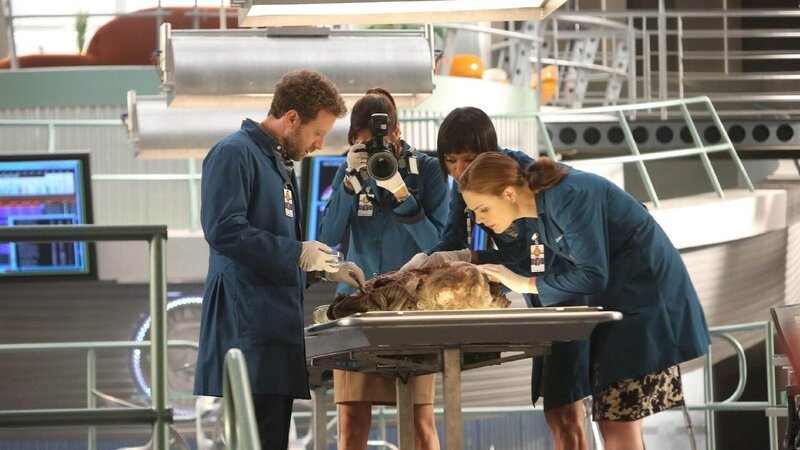 (v.l.) Hodgins (TJ Thyne), Angela (Michaela Conlin), Cam (Tamara Taylor) und Brennan (Emily Deschanel) untersuchen eine 30 Jahre alte Leiche, die in einer alten Baugrube gefunden wurde. – Bild: RTL /​ FOX