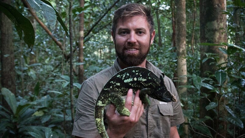 Forrest Galante holding a Parson’s chameleon. – Bild: Animal Planet