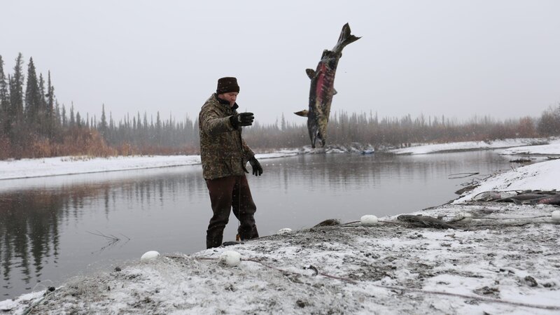 Tyler throwing fish in the air in the frozen tundra near a pond. – Bild: Animal Planet /​ Photobank 34478_ep203_012.JPG /​ Discovery Communications
