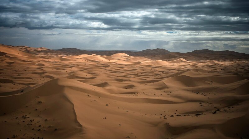 In Nordafrika grenzt die größte Wüste der Welt an das Mittelmeer: die Sahara. – Bild: ZDF und NDR/​NDR Naturfilm/​doclights/​Blue Planet Film.