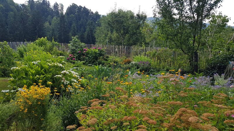 Mein kleines Paradies – Bild: ORF/​Landesstudio Vorarlberg/​Petra Assmann