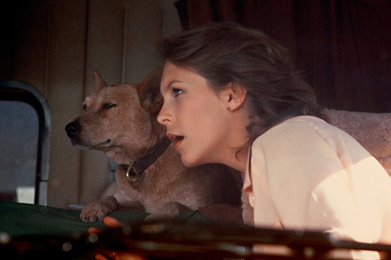 Truck Driver – Bild: Vincent Monton /​ StudioCanal