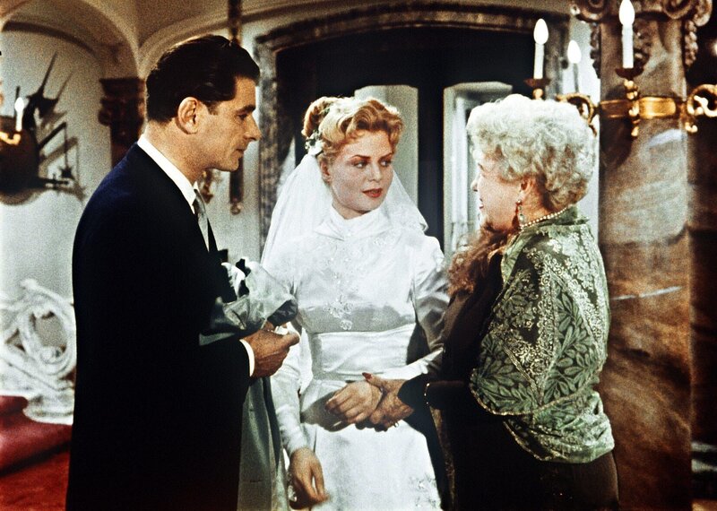 Roter Mohn – Bild: ORF