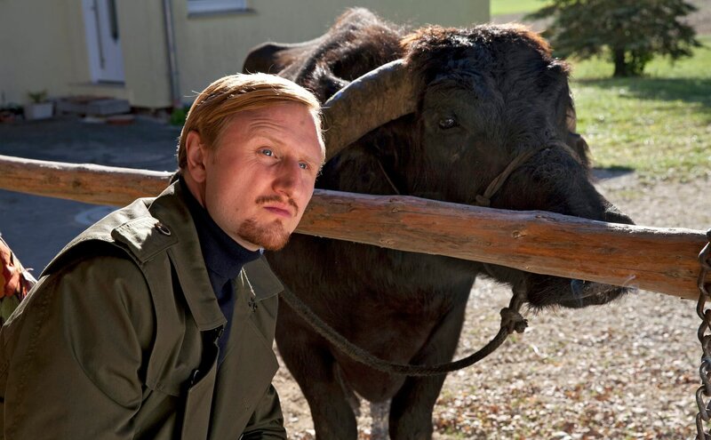 Die Büffel sind los! – Bild: SWR/​Maor Waisburd