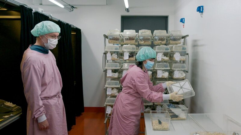 Resilienz - Was die Seele stark macht – Bild: SWR/​Anton Felixberger