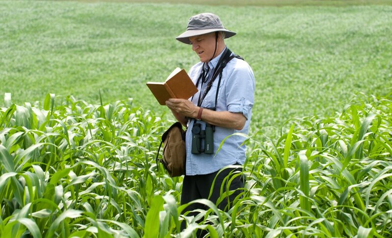 Ein Jahr vogelfrei – Bild: Fox