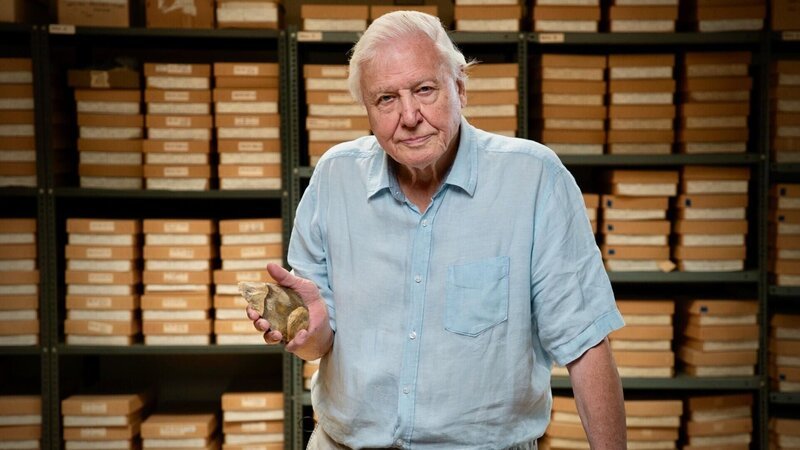 David Attenborough – Bild: RTL /​ © 2021 Windfall Films Ltd (part of the Argonon Group) and the WGBH Educational Foundation All Rights Reserved