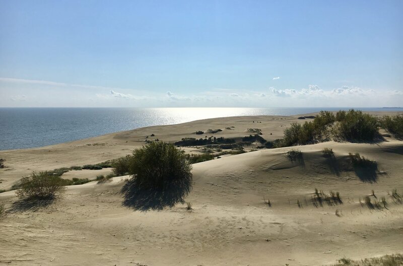 Die Ostsee in ihren jahreszeitlichen Stimmungen, das helle Licht und die Luftspiegelungen am Wasser, die Wolken am hohen Himmel und die Vögel im Sturm über den Wellen. „Seestück“ ist ein Film über die Meereslandschaft der Ostsee und die Menschen an ihrer Küste. Begegnungen mit Menschen, ihrem Leben am Meer und mit dem Meer. „Seestück“ erzählt von einem bedrohten Lebensraum. – Kurische Nehrung. – Bild: rbb/​Volker Koepp