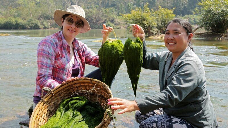 Willkommen am Mekong Laos Sue Perkins und Butang zeigen etwas Flussgras, das für die Herstellung einer lokalen Delikatesse, Laos, geerntet wurde. Copyright: SRF/​BBC Studios/​Indus Films 2014 – Bild: SRF/​BBC Studios/​Indus Films 2014