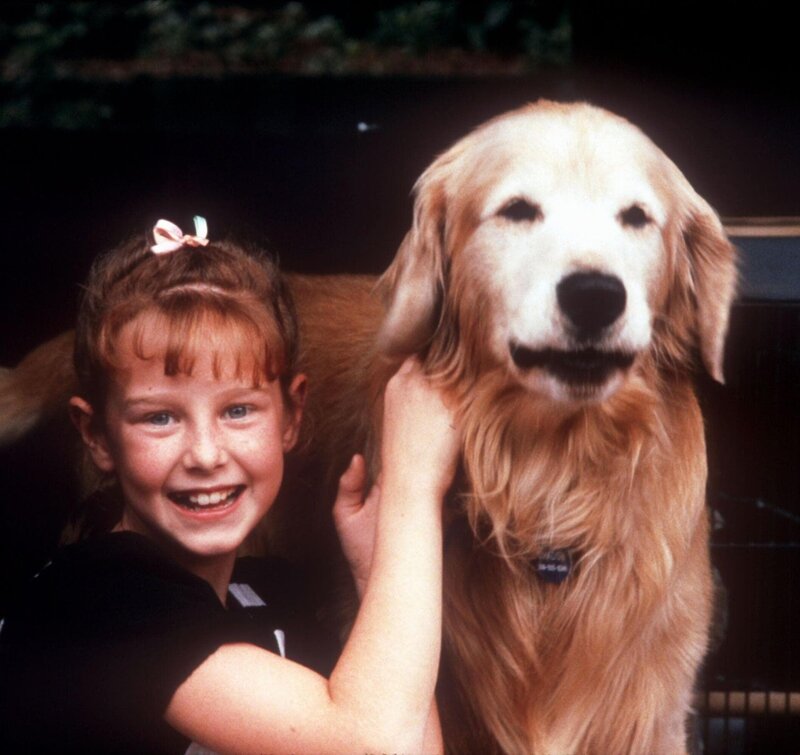 Zurück nach Hause - Die unglaubliche Reise – Bild: Tele 5