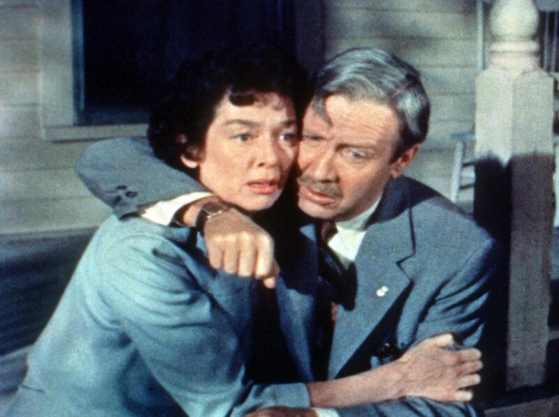 Picknick – Bild: ORF /​ EOS Entertainment