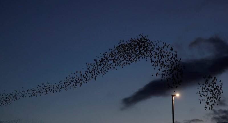 Tannöd Traudl Krieger und Katrin: Monica Bleibtreu als Traudl Krieger, Julia Jentsch als Katrin – Bild: SRF Tannöd Traudl Krieger und Katrin: Monica Bleibtreu als Traudl Krieger, Julia Jentsch als Katrin – Bild: SRF