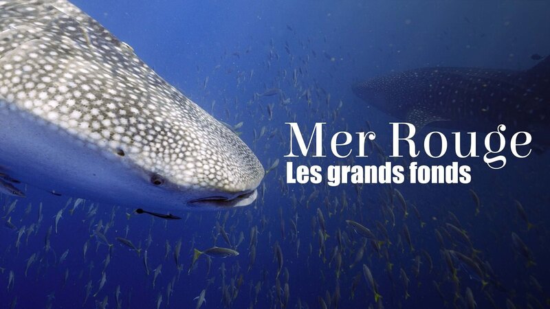 In unbekannten Tiefen – Bild: Arte