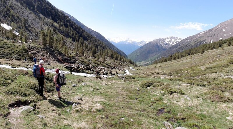 Im Ötztal – Bild: ORF/​Pammer Film/​Wolfgang Niedermair