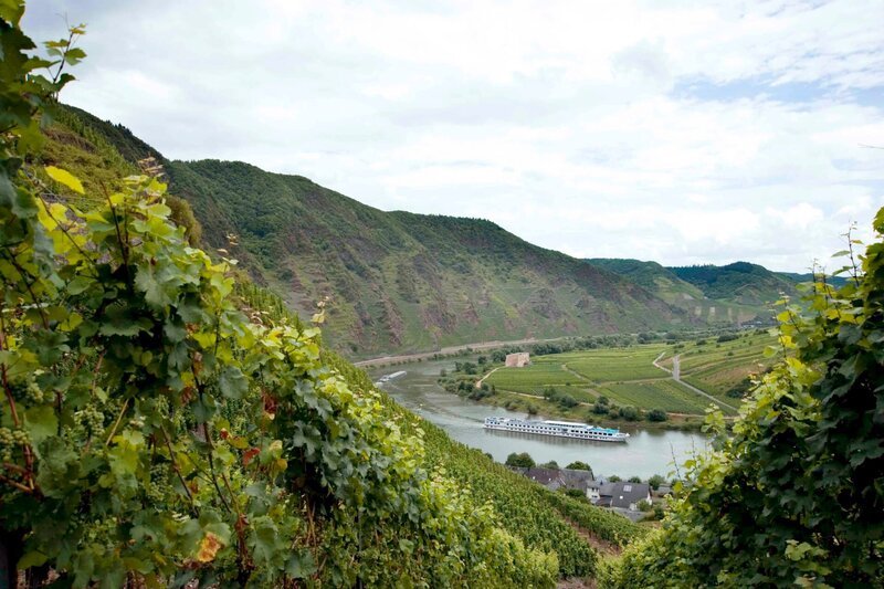 Von den steilen Weinbergen über dem Moselort Bremm hat man einen herrlichen Blick auf die Moselschleife. Hier befindet sich der Bremmer Calmont – der steilste Weinberg in Europa. – Bild: HR/​Mosellandtouristik GmbH/​Thorsten Stürmer