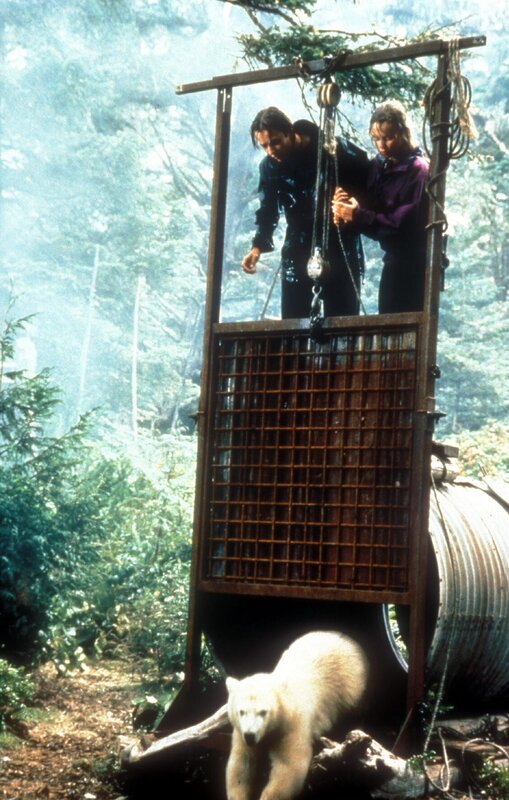 Alaska - Die Spur des Polarbären – Bild: TMG