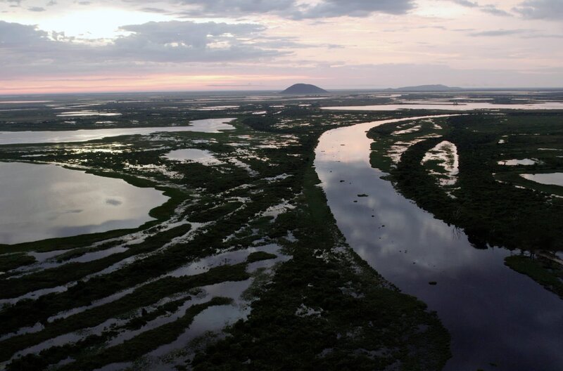 Das an der Grenze zwischen Brasilien, Bolivien und Paraguay liegende Pantanal ist das das größte Feuchtgebiet der Erde. Es beherbergt eine unglaubliche Vielfalt an Pflanzen und Tieren. – Bild: FRENCH CONNECTION FILMS /​ Das an der Grenze zwischen Brasilien, Bolivien und Paraguay liegende Pantanal ist das das größte Feuchtgebiet der Erde. Es beherbergt eine unglaubliche Vielfalt an Pflanzen und Tieren.