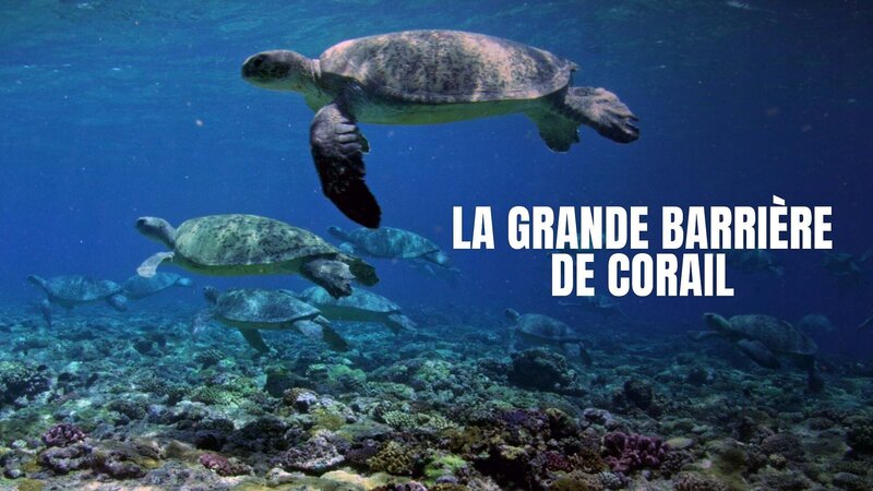 Im Einsatz am Great Barrier Reef – Bild: Arte