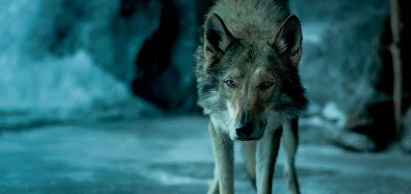 Alpha – Bild: ORF/​Sony Pictures/​CTMG