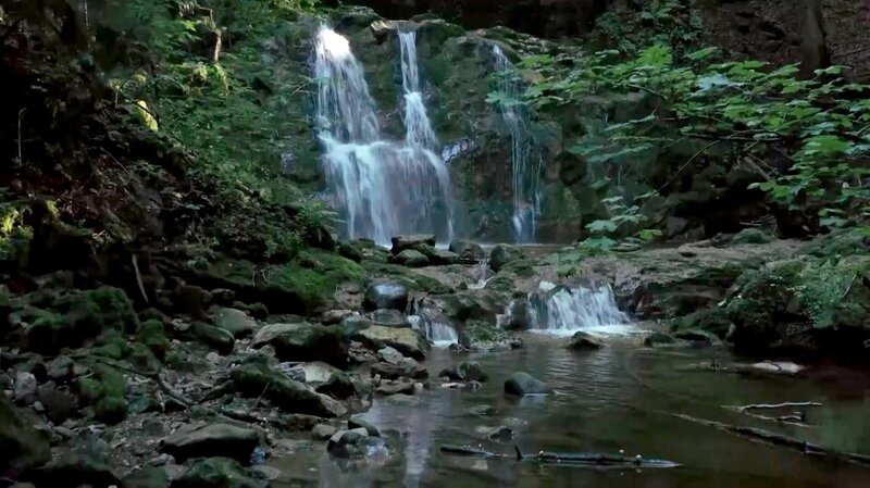 Bauernleben im Salzburger Seenland – Bild: ORF/​Papke Film