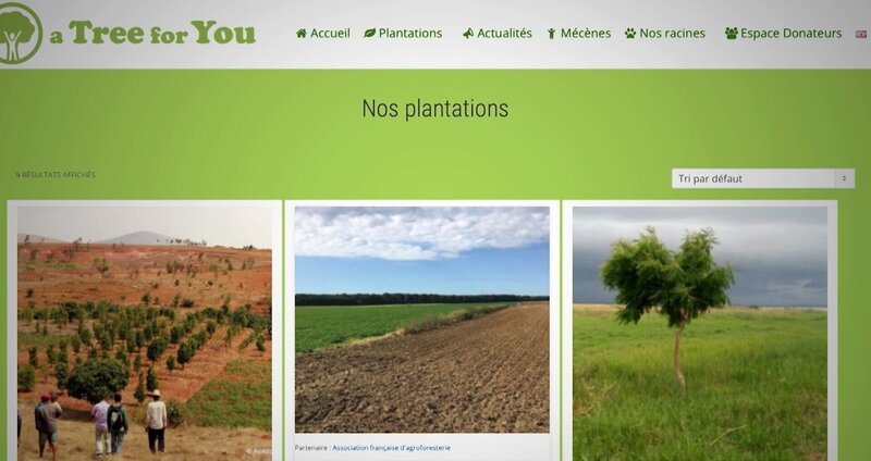 A tree for you – Bäume pflanzen und CO2 kompensieren – Bild: ORF/BABEL DOC A tree for you – Bäume pflanzen und CO2 kompensieren – Bild: ORF/BABEL DOC