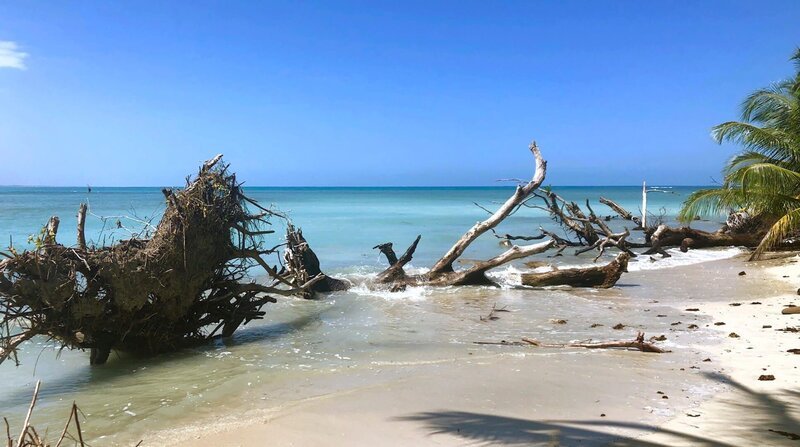 Strand im costa-ricanischen Cahuita Nationalpark. – Bild: Monika Birk