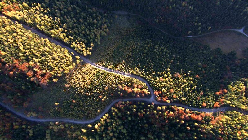 Herbstwald. – Bild: 3sat