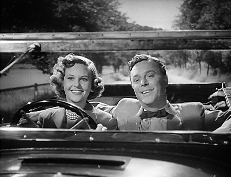 Auf der grünen Wiese – Bild: ORF