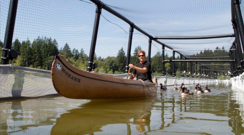Tierisch müde - Das Rätsel Schlaf – Bild: WDR/​taglicht media GmbH