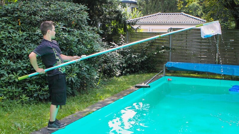 Ein neuer Mitbewohner? Marlon befreit den Frosch aus dem Pool. – Bild: ZDF und Georg Bussek.