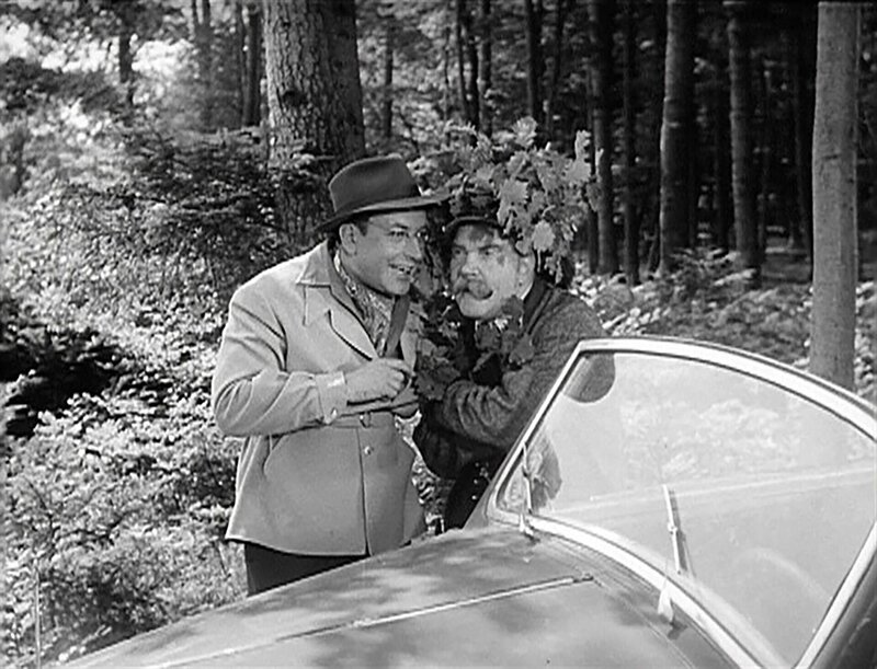 Auf der grünen Wiese – Bild: ORF