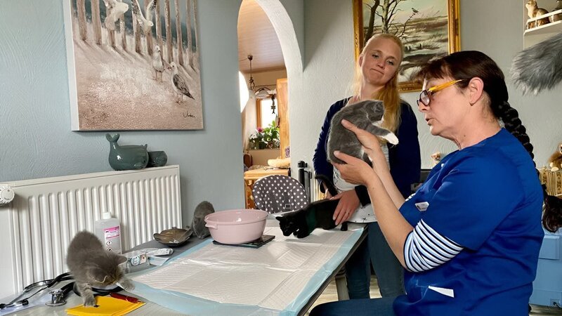 Nadja Lucaßen vom Welpenwaisenhaus NRW mit den Kätzchen Karlo, Killi, Karlie und Karla und Tierärztin Stefanie Franz (r.). – Bild: RTL /​ Fandango Film