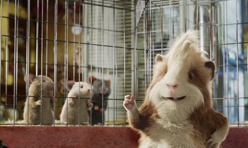 G-Force - Agenten mit Biss – Bild: port.hu