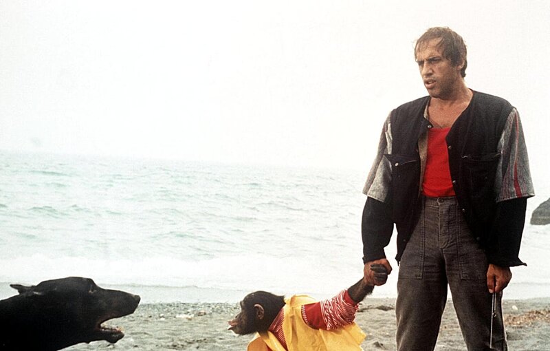 Bingo Bongo – Bild: DMB