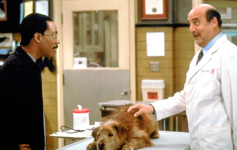 Dr. Dolittle – Bild: ORF/​-. Andere Verwendung