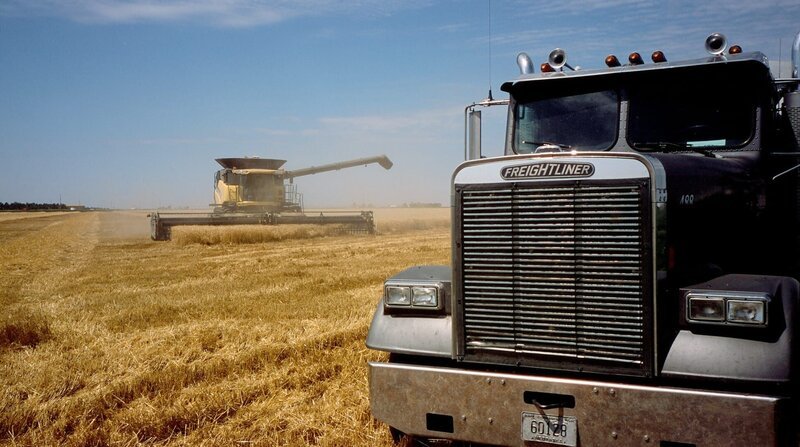 Custom Harvester haben sich auf das Ernten fremder Weizenfelder spezialisiert. Von Texas bis an die kanadische Grenze. – Bild: BR/NDR/Volkert Schult Custom Harvester haben sich auf das Ernten fremder Weizenfelder spezialisiert. Von Texas bis an die kanadische Grenze. – Bild: BR/NDR/Volkert Schult
