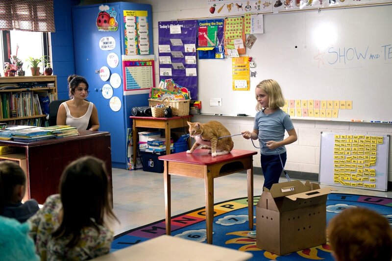 Begabt - Die Gleichung eines Lebens – Bild: PLURIMEDIA (Twentieth Century Fox France /​ Fox Searchlight Pictures /​ FilmNation Entertainment)