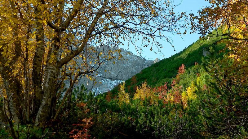 Hahntenjoch im Herbst. – Bild: ORF/Verlagshaus Hans Jöchler Hahntenjoch im Herbst. – Bild: ORF/Verlagshaus Hans Jöchler