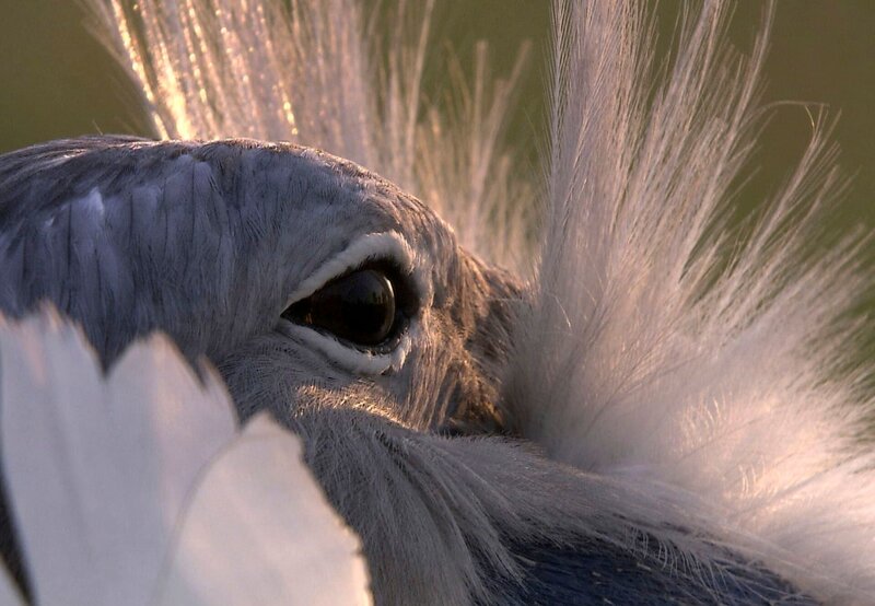 Das Havelland – Bild: rbb/​NDR/​Christoph Hauschild