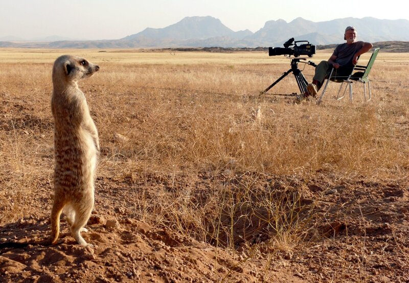 Erdmännchen - Ein unschlagbares Team – Bild: NDR/​NDR Naturfilm 2010