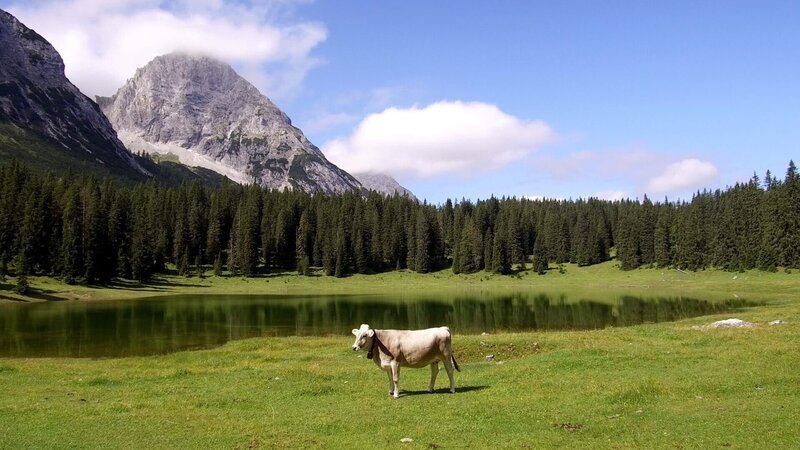 Igelsee Ausserfern. – Bild: ORF/Verlagshaus Hans Jöchler Igelsee Ausserfern. – Bild: ORF/Verlagshaus Hans Jöchler