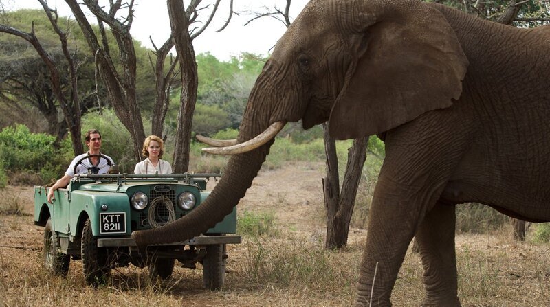 Robin (Andrew Garfield) und Diane (Claire Foy) genießen ihre Zeit in Afrika. – Bild: ARD Degeto/​Squareone Entertainme /​ ZDF und ARD Degeto/​Squareone Ent