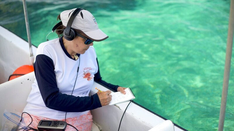 Meeresbiologin Michelle Schärer lauscht mit einem Unterwasser-Mikrofon den Klängen des Mangrovenwalds an der Küste von Belize. – Bild: NDR/​Terra Mater & Tamara Stubbs