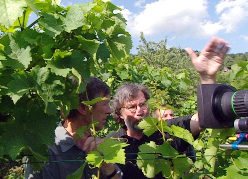 Wachau - Land am Strome – Bild: ORF/​Georg Rih