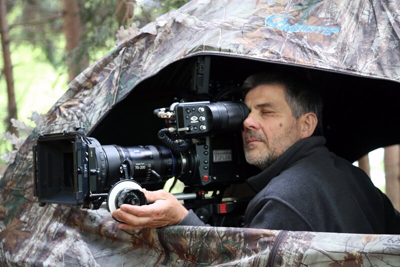 Geheimnisvolle Eichhörnchen – Bild: ORF, Rilk Film