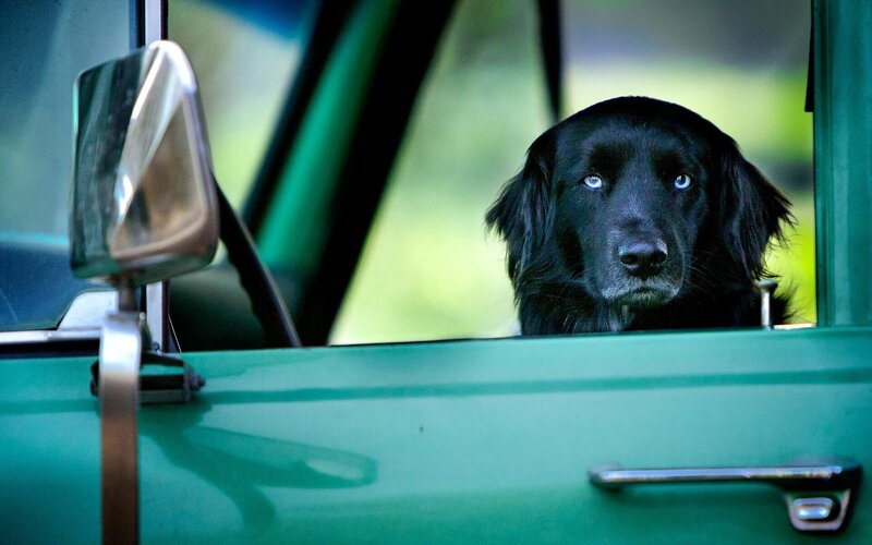 Unsere große kleine Farm – Bild: ORF/​Prokino